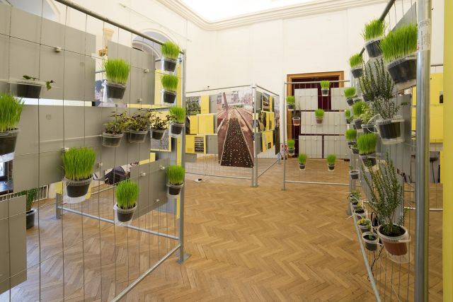 Autor: Michaela Dvořáková