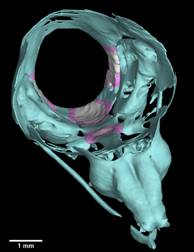 Autor: archiv CEITEC