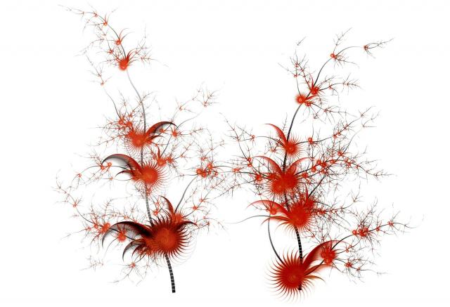 Gramatiky od Jana Halamíčka | Autor: archiv Tomáše Staudka