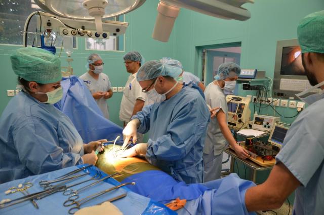 Autor: archiv Dalibora Červinky