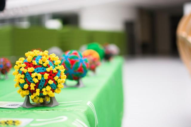  Electron Microscopy Days 2024. | Author: CEITEC MU