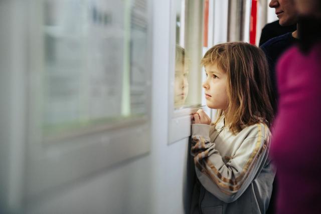  Electron Microscopy Days 2024. | Author: CEITEC BUT