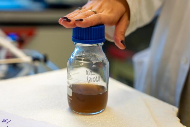 Author: Archive FCH BUT