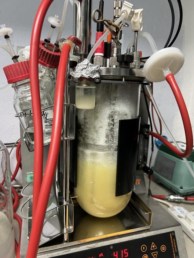 Autor: Veronika Řeháková