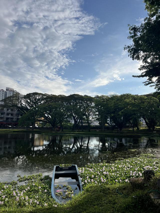 Autor: Veronika Řeháková