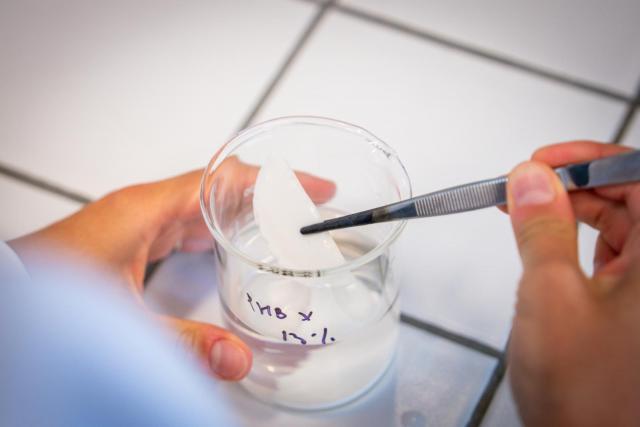 Author: FCH BUT Archives