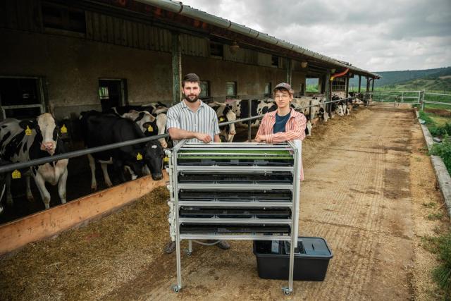 Cílem studentů je, aby si duckweed mohli zemědělci pěstovat sami a s nízkými náklady. | Autor: Pravoslav Žilka, iGEM Brno